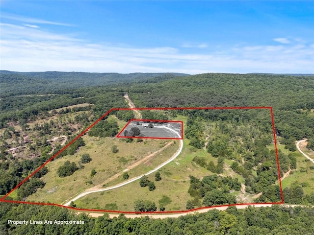 Madison Unit 6601, Huntsville, AR 72740 - photo 1