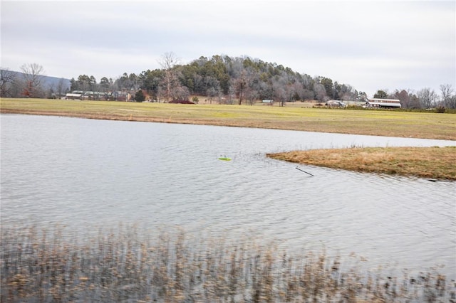 505 Sr 164, Hector, AR 72843 - photo 2