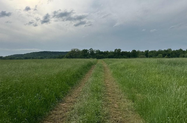 505 Sr 164, Hector, AR 72843 - photo 6