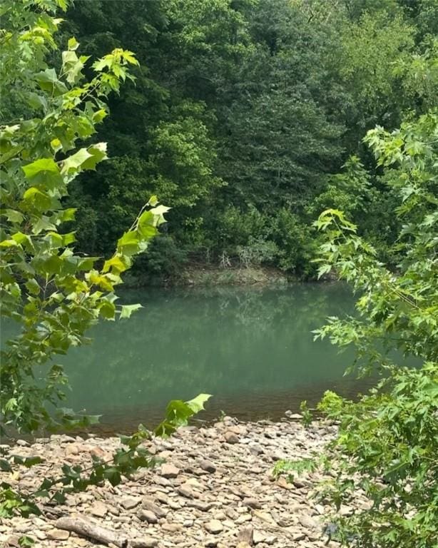 505 Sr 164, Hector, AR 72843 - photo 9