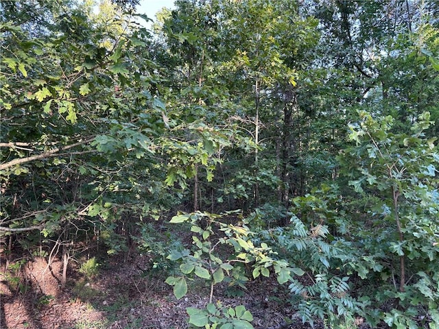 TractB Mc 5056, Everton, AR 72633 - photo 4