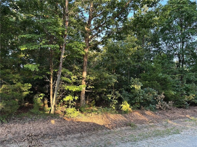 TractB Mc 5056, Everton, AR 72633 - photo 6