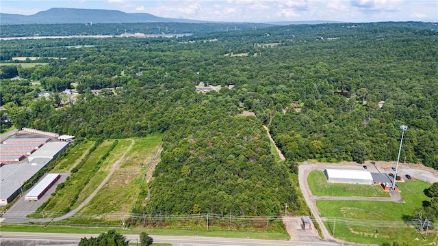 Skyline Dr, Russellville, AR 72802 - photo 6