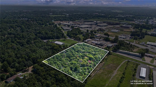 Skyline Dr, Russellville, AR 72802 - photo 11