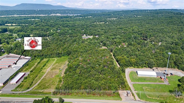 Skyline Dr, Russellville, AR 72802 - photo 5
