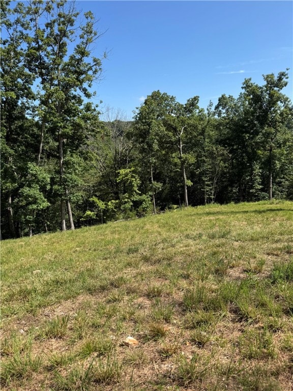 0TBD Beaver Hollow Rd, Garfield, AR 72732 - photo 1