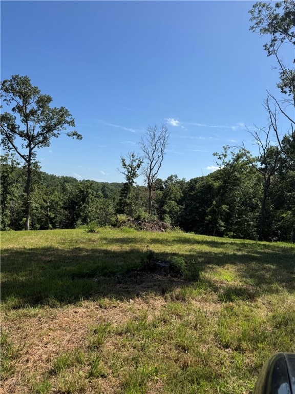 0TBD Beaver Hollow Rd, Garfield, AR 72732 - photo 2