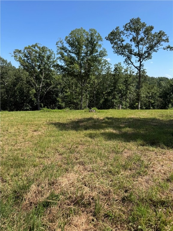 0TBD Beaver Hollow Rd, Garfield, AR 72732 - photo 3