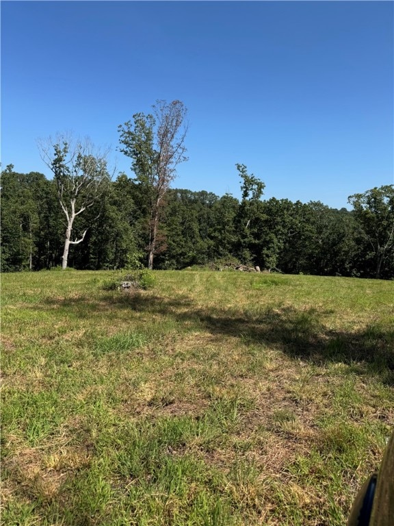 0TBD Beaver Hollow Rd, Garfield, AR 72732 - photo 4