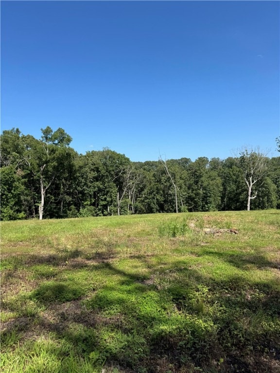 0TBD Beaver Hollow Rd, Garfield, AR 72732 - photo 5