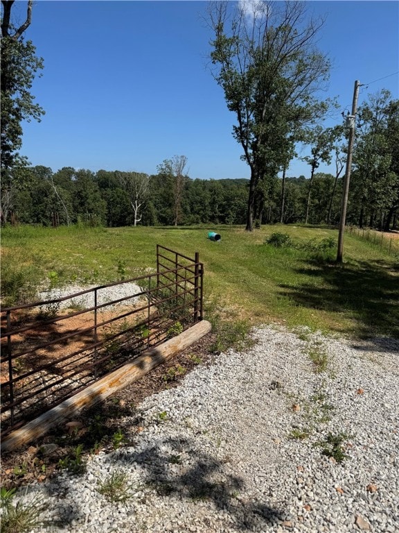 0TBD Beaver Hollow Rd, Garfield, AR 72732 - photo 6