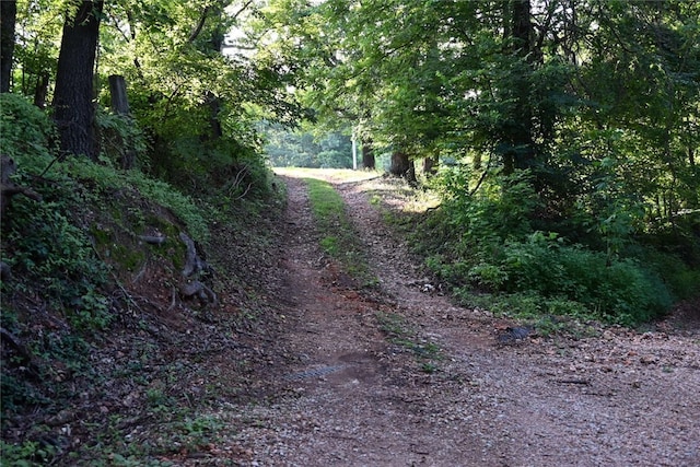 13909 Buttermilk Springs Rd, Gravette, AR 72736 - photo 36