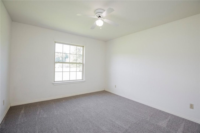 10870 Spring Mountain Dr, Farmington, AR 72730 - photo 19