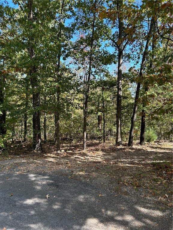 LOTS5, 6 Mull Ln, Bella Vista, AR 72715 - photo 2