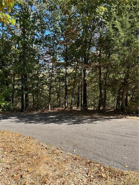 LOTS5, 6 Mull Ln, Bella Vista, AR 72715 - photo 3