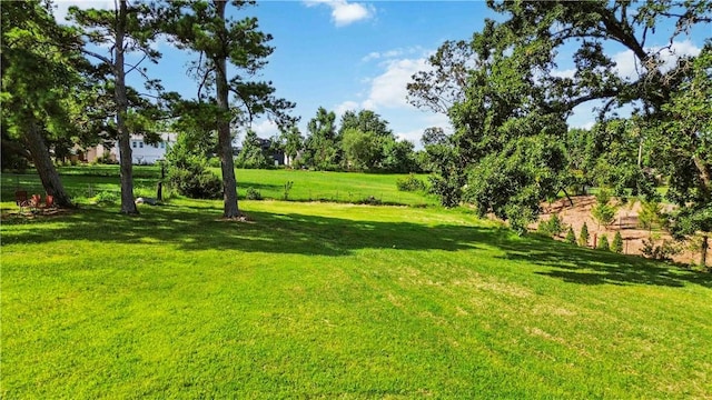 803 NW C St, Bentonville, AR 72712 - photo 30