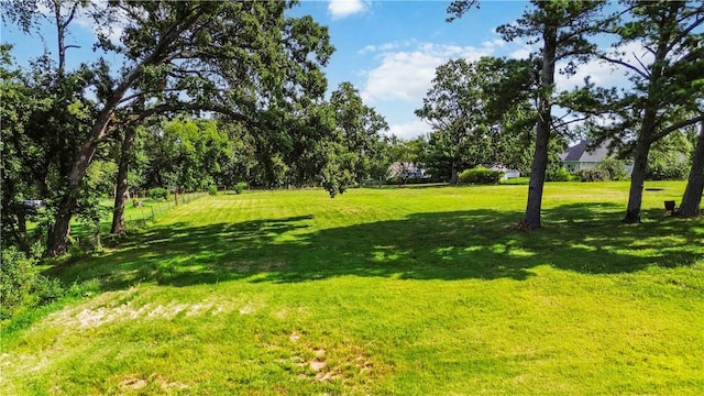 803 NW C St, Bentonville, AR 72712 - photo 31