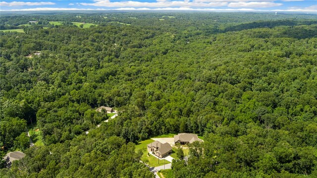 9 Hexham Dr, Bella Vista, AR 72715 - photo 33