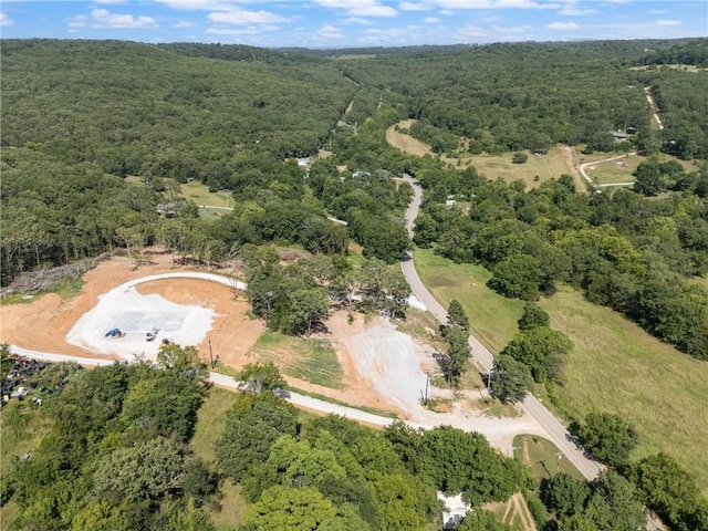 20266 Mount Olive Rd, Elkins, AR 72727 - photo 2