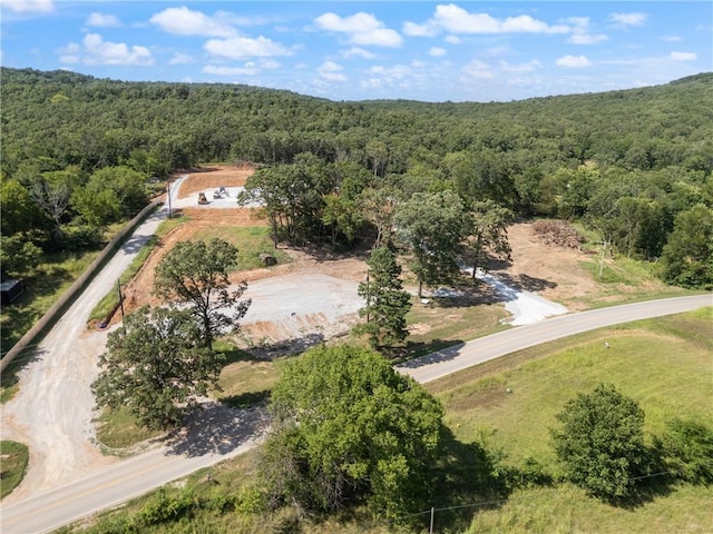 20266 Mount Olive Rd, Elkins, AR 72727 - photo 3