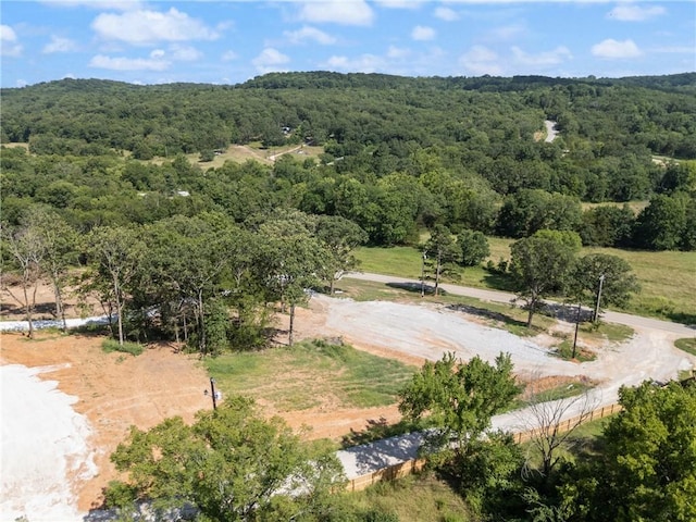 20266 Mount Olive Rd, Elkins, AR 72727 - photo 5