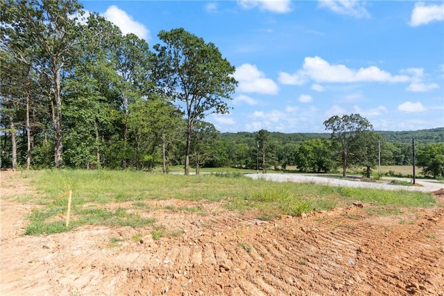 20266 Mount Olive Rd, Elkins, AR 72727 - photo 7