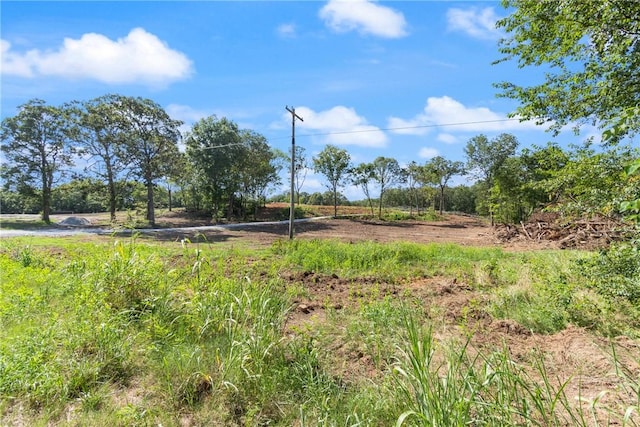 20266 Mount Olive Rd, Elkins, AR 72727 - photo 8