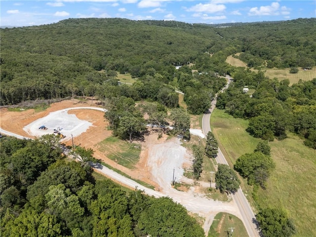 20266 Mount Olive Rd, Elkins, AR 72727 - photo 10
