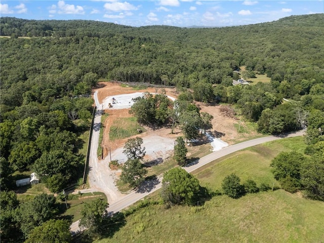 20266 Mount Olive Rd, Elkins, AR 72727 - photo 11