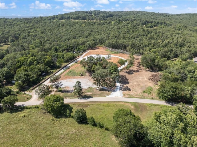 20266 Mount Olive Rd, Elkins, AR 72727 - photo 12