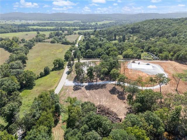 20266 Mount Olive Rd, Elkins, AR 72727 - photo 14