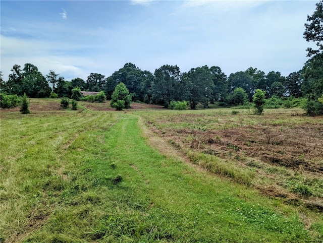 Florence St, Bergman, AR 72615 - photo 1