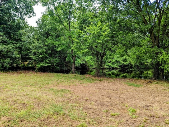 Florence St, Bergman, AR 72615 - photo 5