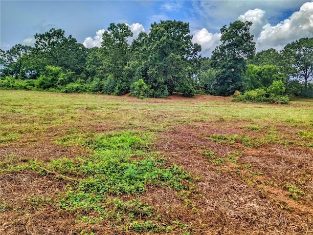 Florence St, Bergman, AR 72615 - photo 6
