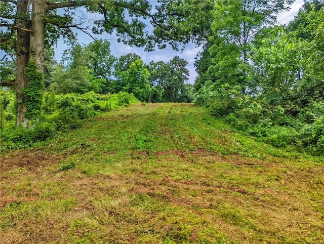 Florence St, Bergman, AR 72615 - photo 7