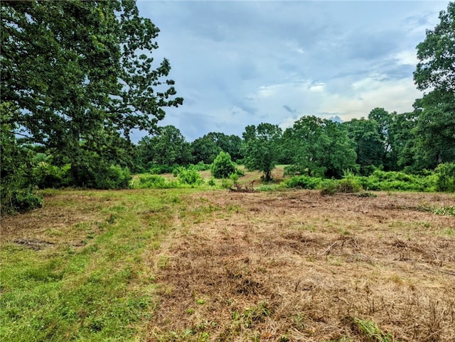 Florence St, Bergman, AR 72615 - photo 8