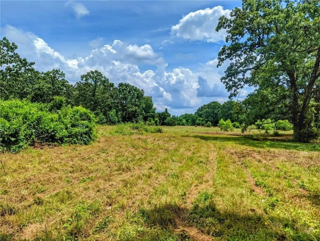 Florence St, Bergman, AR 72615 - photo 3