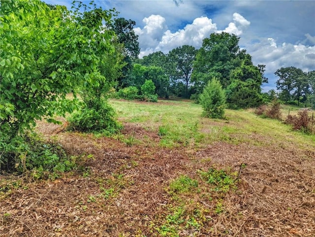 Florence St, Bergman, AR 72615 - photo 11