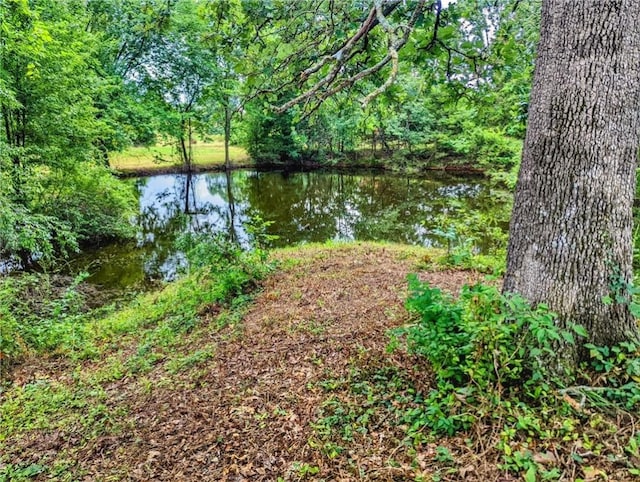 Florence St, Bergman, AR 72615 - photo 2