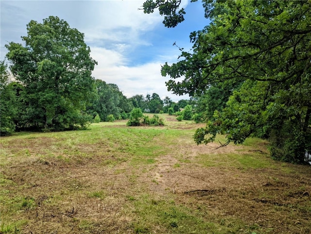 Florence St, Bergman, AR 72615 - photo 14