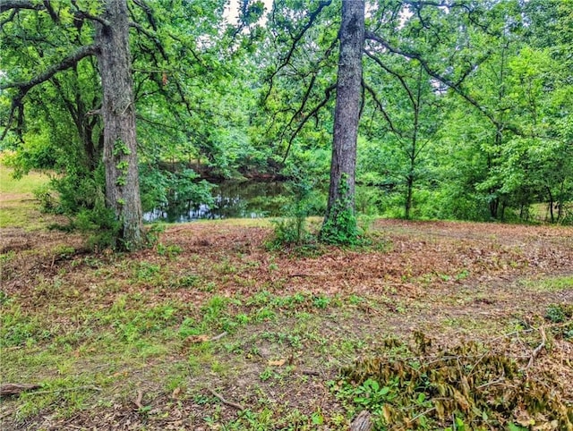 Florence St, Bergman, AR 72615 - photo 15