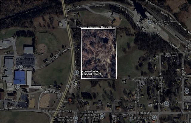 Florence St, Bergman, AR 72615 - photo 4