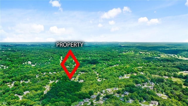 20 Charing Dr, Bella Vista, AR 72714 - photo 39
