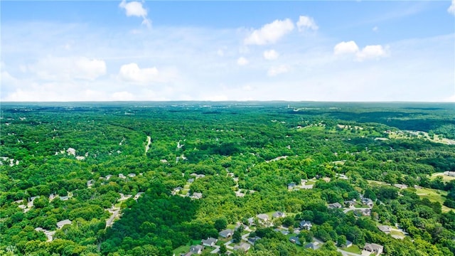 20 Charing Dr, Bella Vista, AR 72714 - photo 40