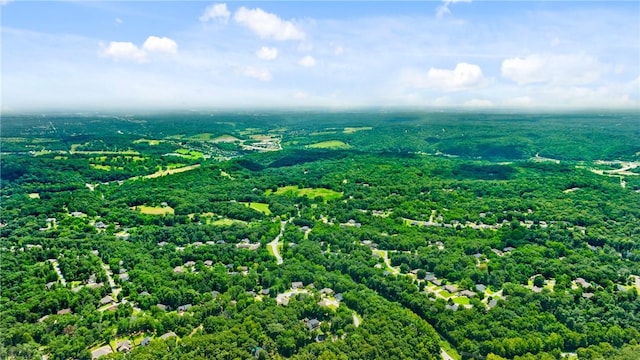 20 Charing Dr, Bella Vista, AR 72714 - photo 42