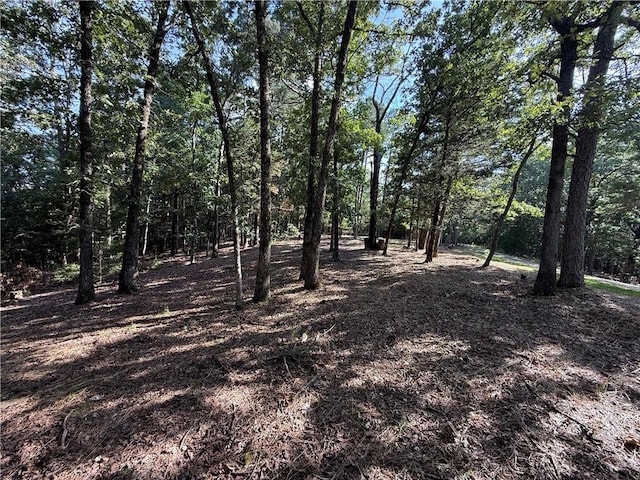 135 Parkway Rd, Eureka Springs, AR 72632 - photo 3