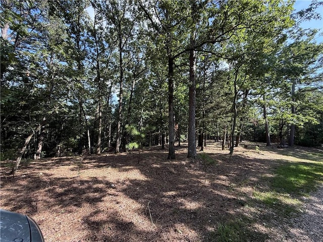 135 Parkway Rd, Eureka Springs, AR 72632 - photo 4