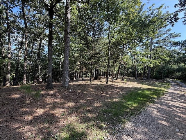 135 Parkway Rd, Eureka Springs, AR 72632 - photo 5