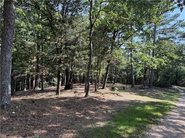 135 Parkway Rd, Eureka Springs, AR 72632 - photo 6