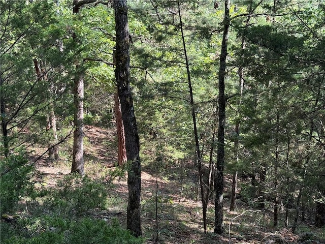 135 Parkway Rd, Eureka Springs, AR 72632 - photo 10